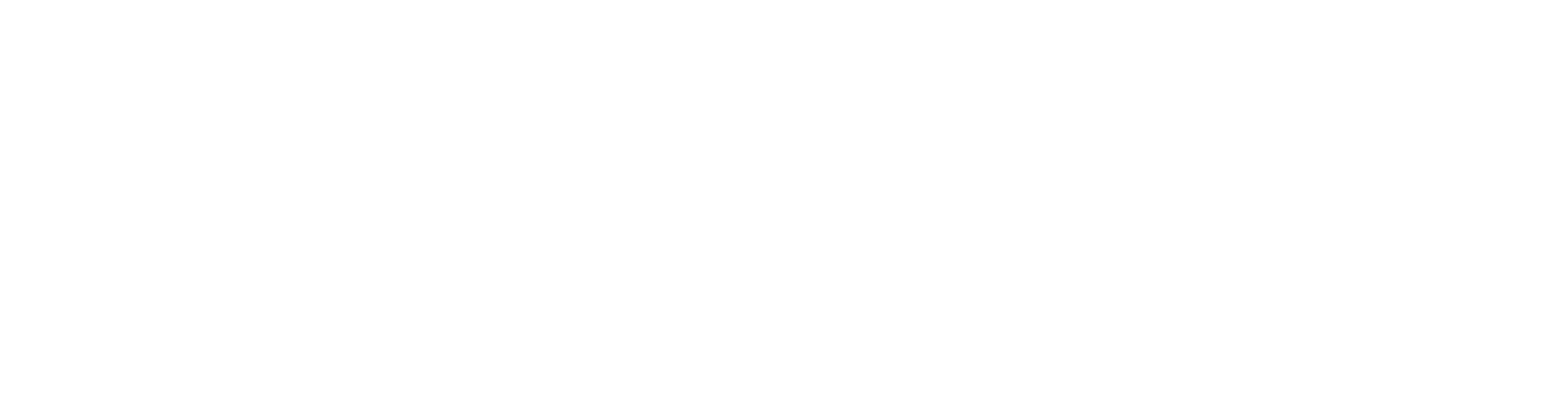 Fiesta logo